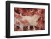 Red Tree Coral on a Fijian Reef-Stocktrek Images-Framed Photographic Print