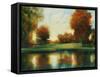 Red Tree Park-Jason Javara-Framed Stretched Canvas