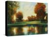 Red Tree Park-Jason Javara-Stretched Canvas