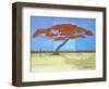 Red Tree & Tulips-Herb Dickinson-Framed Photographic Print
