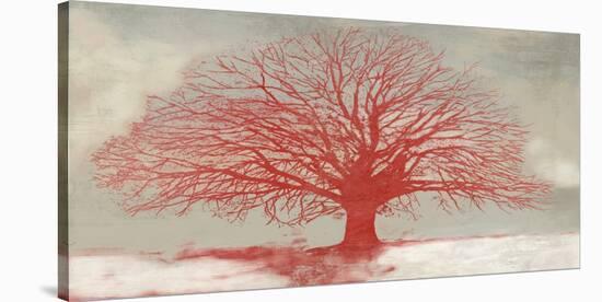 Red Tree-Alessio Aprile-Stretched Canvas