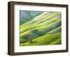 Red Tree-Marcin Sobas-Framed Photographic Print