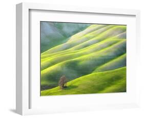 Red Tree-Marcin Sobas-Framed Photographic Print