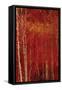 Red Trees-Sokol Hohne-Framed Stretched Canvas