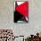 red triangle,2017-Alex Caminker-Framed Stretched Canvas displayed on a wall