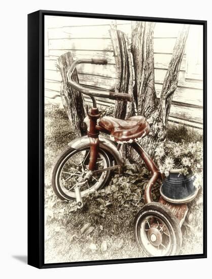 Red Tricycle-Mindy Sommers-Framed Stretched Canvas