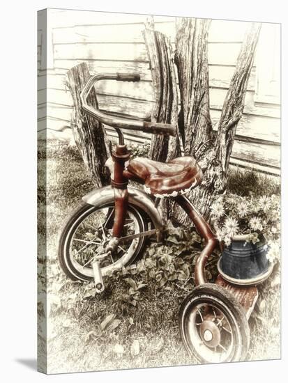 Red Tricycle-Mindy Sommers-Stretched Canvas
