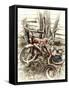 Red Tricycle-Mindy Sommers-Framed Stretched Canvas