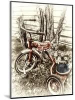 Red Tricycle-Mindy Sommers-Mounted Giclee Print