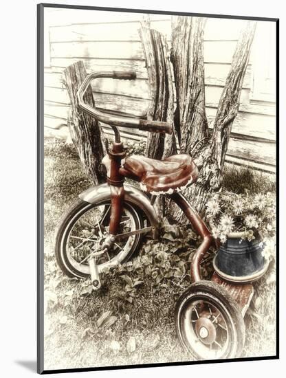 Red Tricycle-Mindy Sommers-Mounted Giclee Print