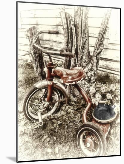 Red Tricycle-Mindy Sommers-Mounted Giclee Print