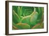 Red Trim Succulent I-Dennis Frates-Framed Giclee Print