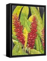 Red Tropical Flowers I-Tim OToole-Framed Stretched Canvas