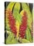 Red Tropical Flowers I-Tim OToole-Stretched Canvas