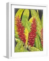 Red Tropical Flowers I-Tim OToole-Framed Art Print