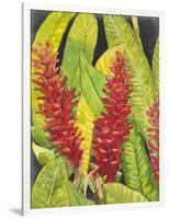 Red Tropical Flowers I-Tim OToole-Framed Art Print