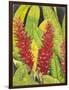 Red Tropical Flowers I-Tim OToole-Framed Art Print