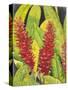 Red Tropical Flowers I-Tim OToole-Stretched Canvas