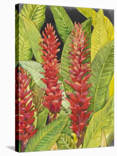 Red Tropical Flowers II-Tim OToole-Stretched Canvas