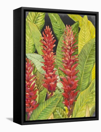 Red Tropical Flowers II-Tim OToole-Framed Stretched Canvas