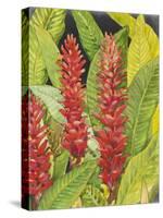 Red Tropical Flowers II-Tim OToole-Stretched Canvas