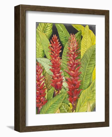 Red Tropical Flowers II-Tim OToole-Framed Art Print