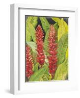 Red Tropical Flowers II-Tim OToole-Framed Art Print