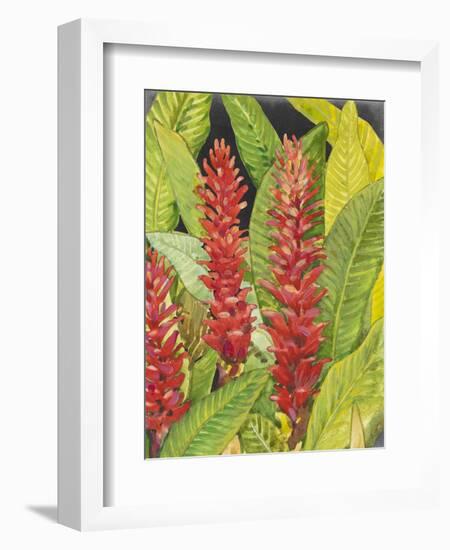 Red Tropical Flowers II-Tim OToole-Framed Art Print