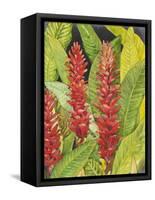 Red Tropical Flowers II-Tim OToole-Framed Stretched Canvas