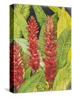 Red Tropical Flowers II-Tim OToole-Stretched Canvas