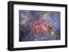 Red Tube Worm (Serpula Vermicularis), Cap De Creus, Costa Brava, Spain-Reinhard Dirscherl-Framed Photographic Print