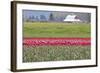 Red Tulip Barn-Dana Styber-Framed Photographic Print