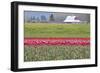 Red Tulip Barn-Dana Styber-Framed Photographic Print