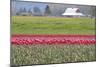 Red Tulip Barn-Dana Styber-Mounted Photographic Print