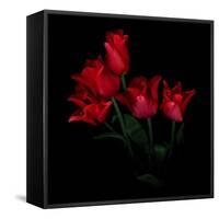 Red Tulip Bouquet-Magda Indigo-Framed Stretched Canvas