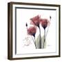 Red Tulip Faith-Albert Koetsier-Framed Premium Giclee Print