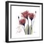 Red Tulip Faith-Albert Koetsier-Framed Premium Giclee Print