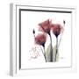 Red Tulip Faith-Albert Koetsier-Framed Premium Giclee Print