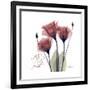 Red Tulip Faith-Albert Koetsier-Framed Premium Giclee Print