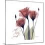Red Tulip Faith-Albert Koetsier-Mounted Premium Giclee Print