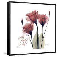 Red Tulip Faith-Albert Koetsier-Framed Stretched Canvas