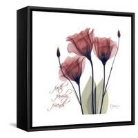 Red Tulip Faith-Albert Koetsier-Framed Stretched Canvas