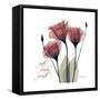 Red Tulip Faith-Albert Koetsier-Framed Stretched Canvas