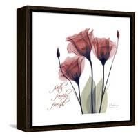 Red Tulip Faith-Albert Koetsier-Framed Stretched Canvas