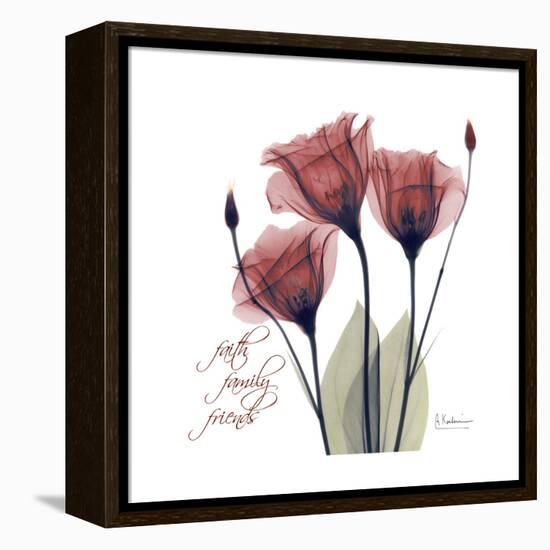 Red Tulip Faith-Albert Koetsier-Framed Stretched Canvas