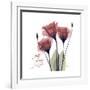 Red Tulip Faith-Albert Koetsier-Framed Premium Giclee Print