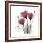 Red Tulip Faith-Albert Koetsier-Framed Premium Giclee Print