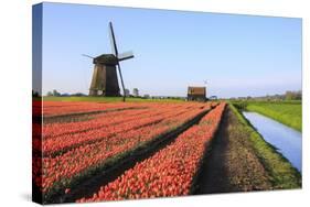 Red Tulip Fields and Blue Sky Frame the Windmill in Spring, Netherlands-Roberto Moiola-Stretched Canvas