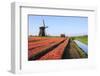 Red Tulip Fields and Blue Sky Frame the Windmill in Spring, Netherlands-Roberto Moiola-Framed Photographic Print