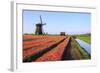 Red Tulip Fields and Blue Sky Frame the Windmill in Spring, Netherlands-Roberto Moiola-Framed Photographic Print